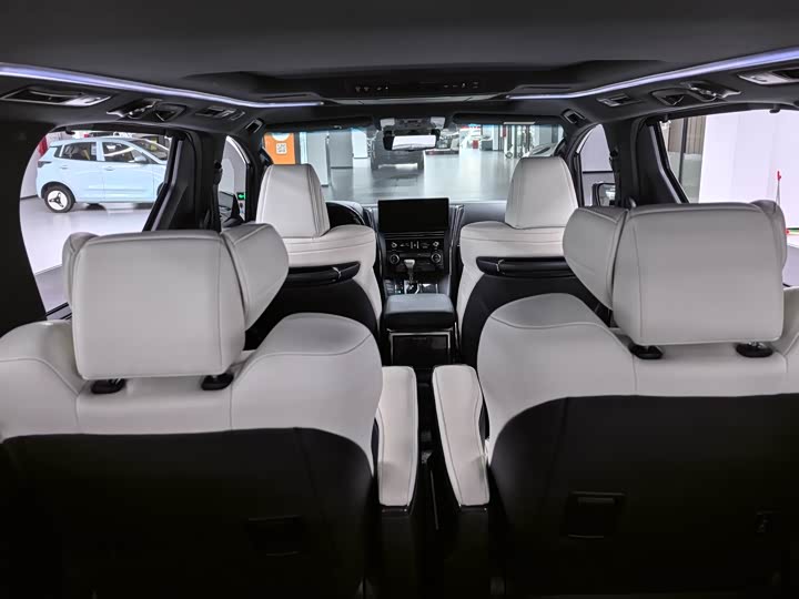 Фото 11 - Lexus LM