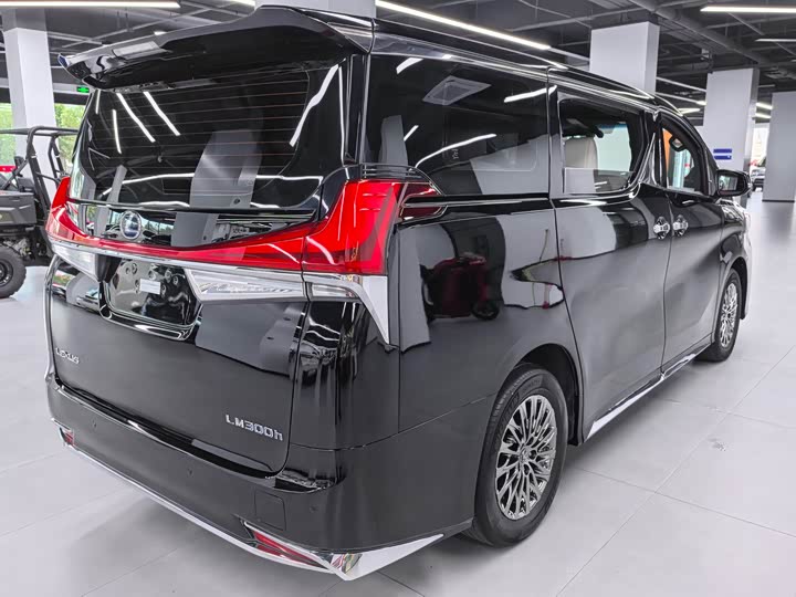 Фото 6 - Lexus LM