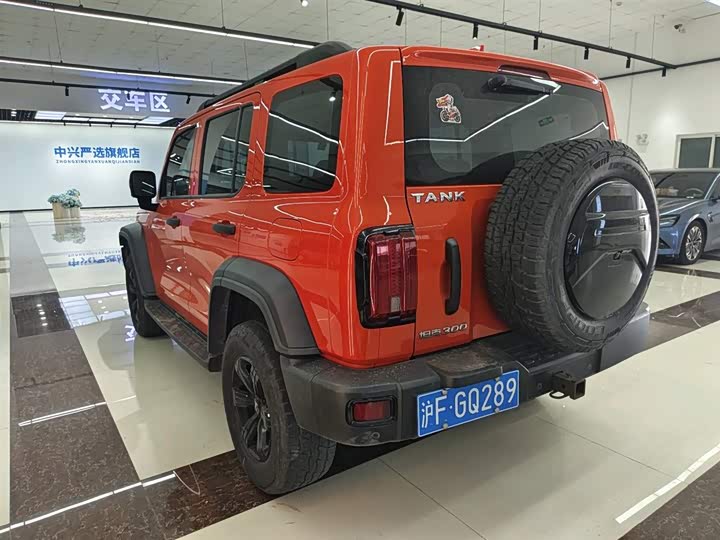 Фото 11 - Tank 300