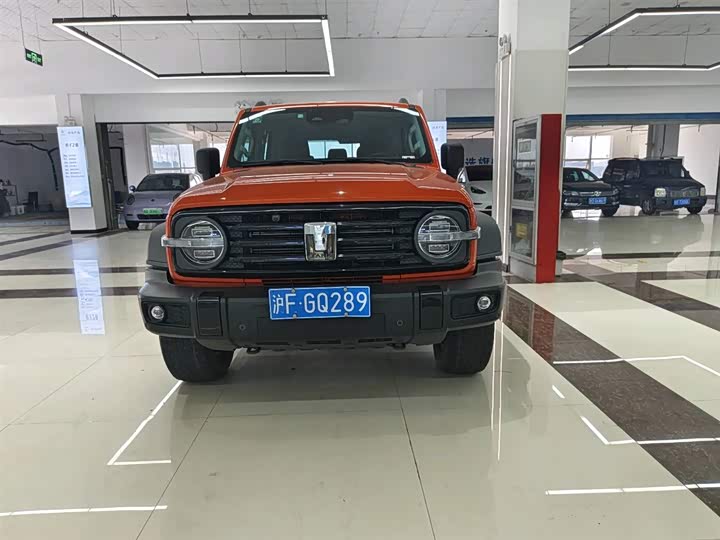 Фото 3 - Tank 300