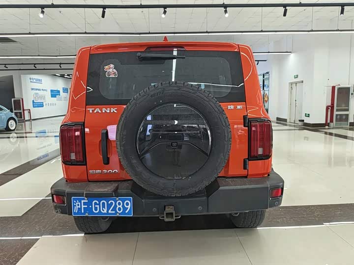 Фото 8 - Tank 300