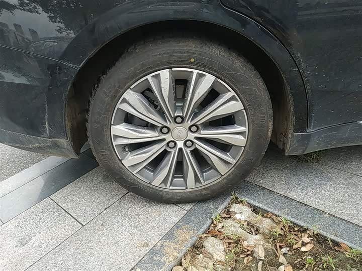 Фото 28 - Hongqi E-QM5