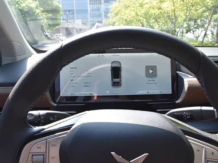 Фото 19 - XPeng P5