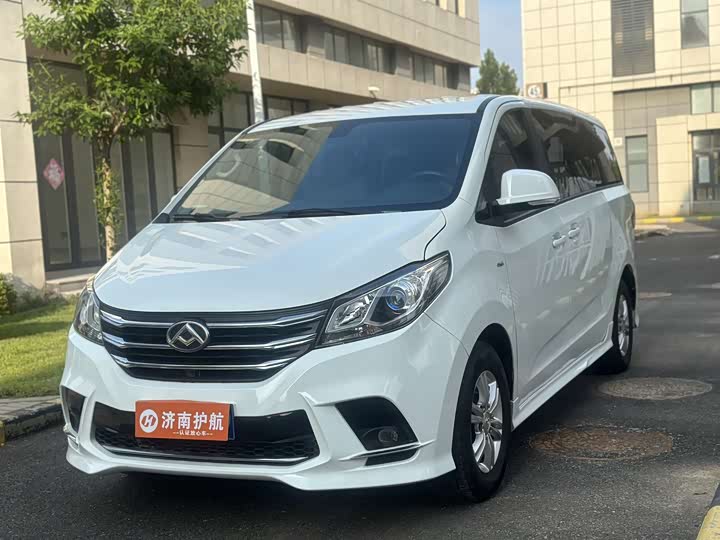 Фото 1 - Maxus G10