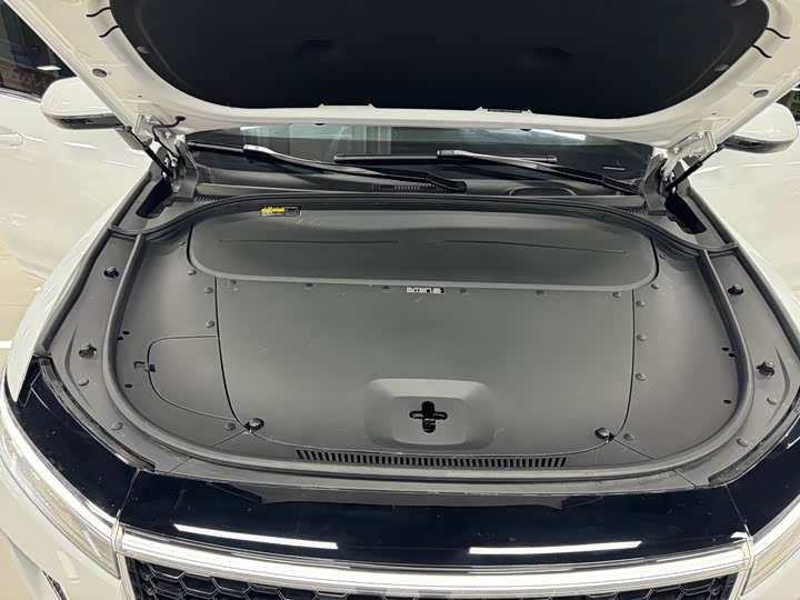 Фото 20 - LiXiang One