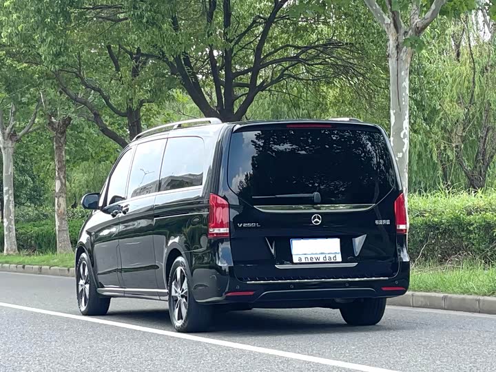 Фото 5 - Mercedes-Benz V-Class