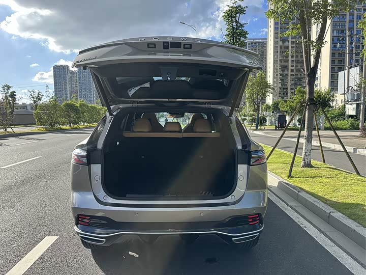 Фото 6 - Roewe RX5