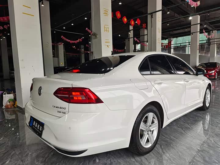 Фото 6 - Volkswagen Lamando L