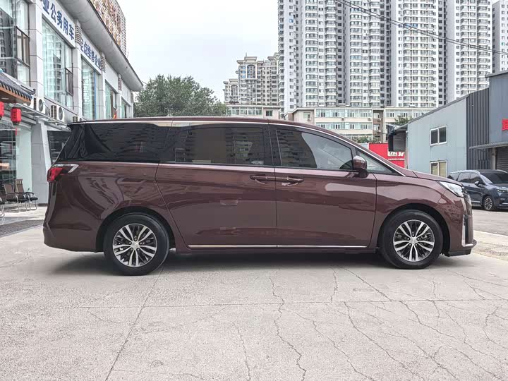 Фото 6 - Buick GL8 ES