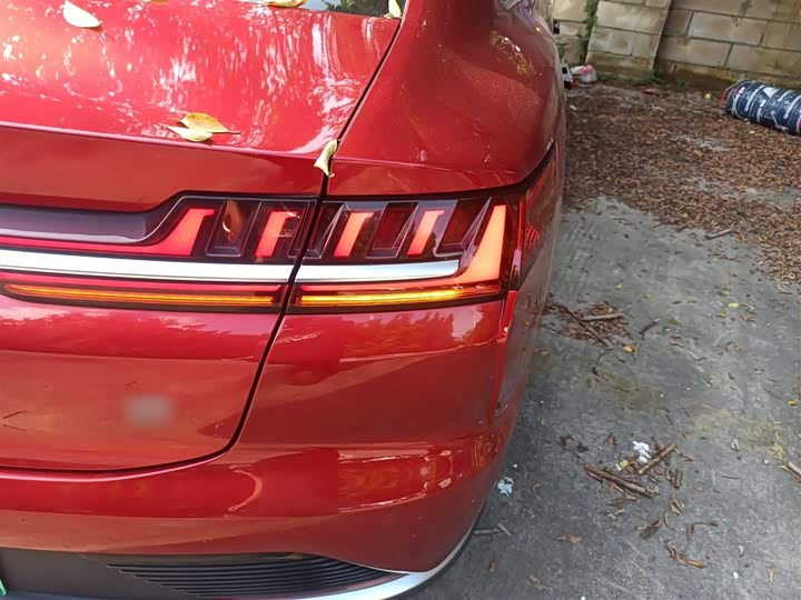 Фото 8 - BYD Han