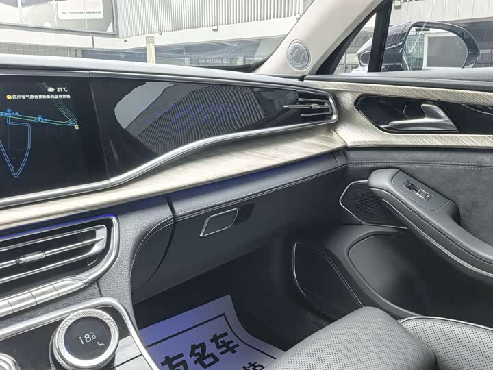 Фото 25 - Hongqi H9