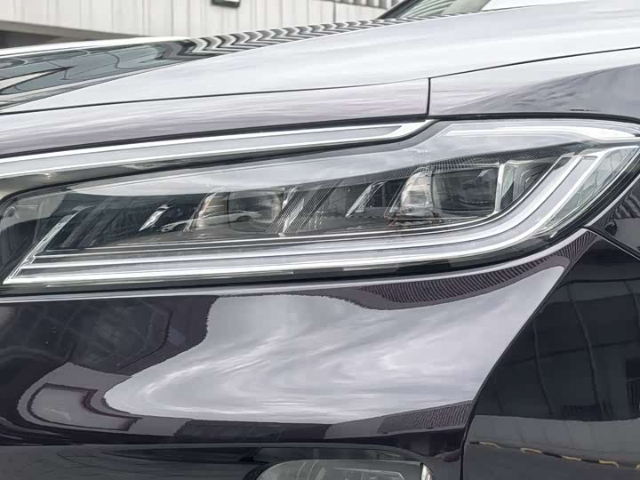 Фото 9 - Hongqi H9