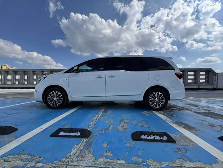 Фото 5 - Buick GL8 ES