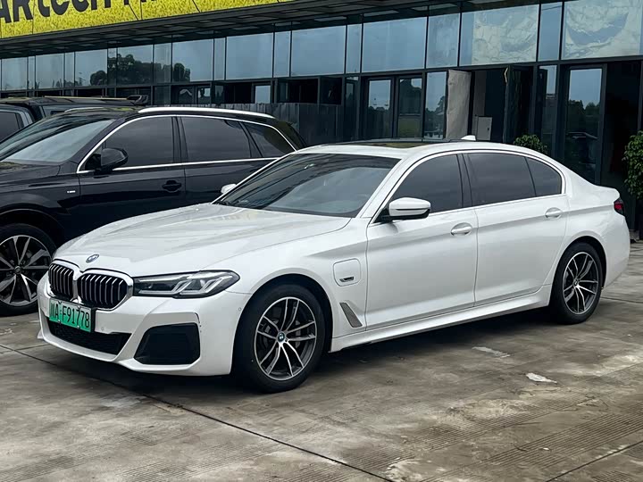 Фото 1 - BMW 5 Series Hybrid