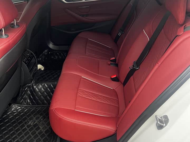 Фото 13 - BMW 5 Series Hybrid