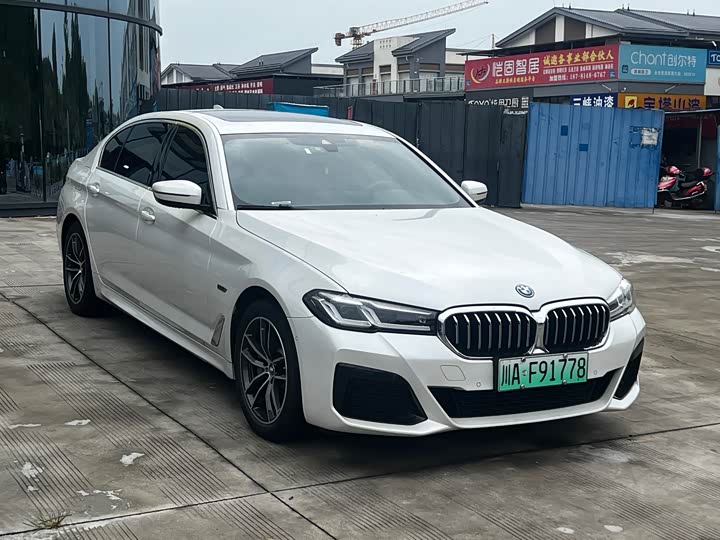 Фото 3 - BMW 5 Series Hybrid