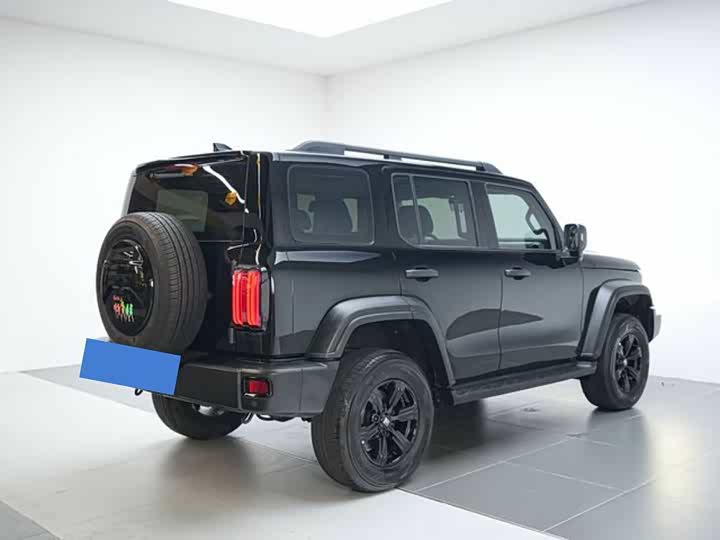 Фото 6 - Tank 300