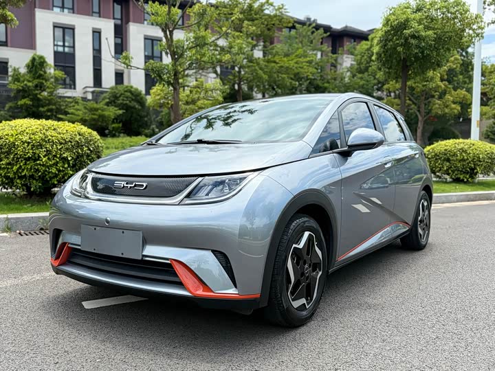 Фото 1 - BYD Dolphin