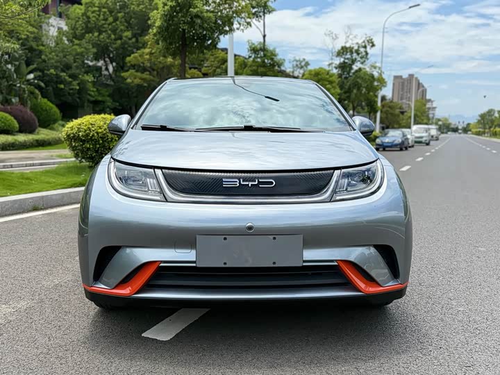 Фото 2 - BYD Dolphin