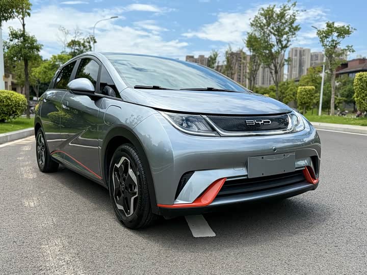 Фото 3 - BYD Dolphin