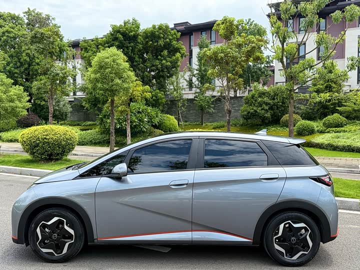 Фото 4 - BYD Dolphin