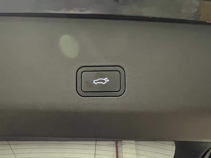 Фото 8 - Geely Monjaro