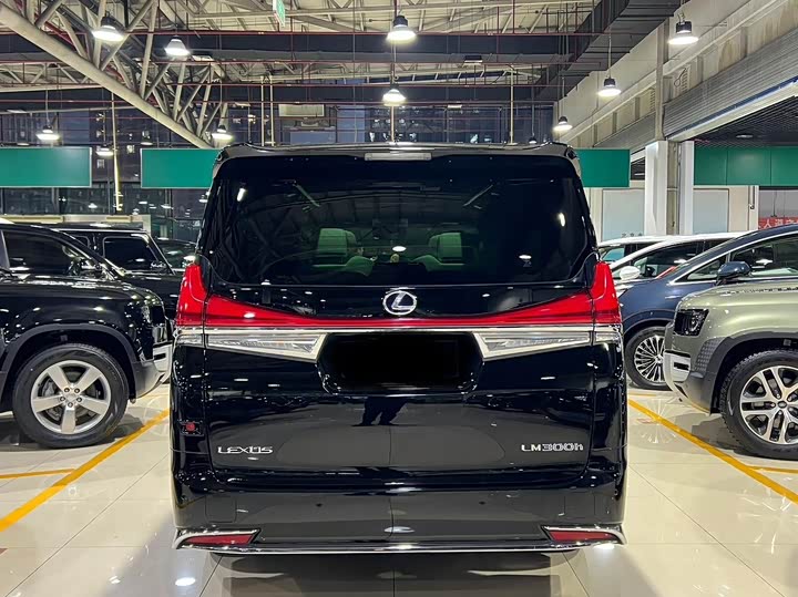 Фото 29 - Lexus LM