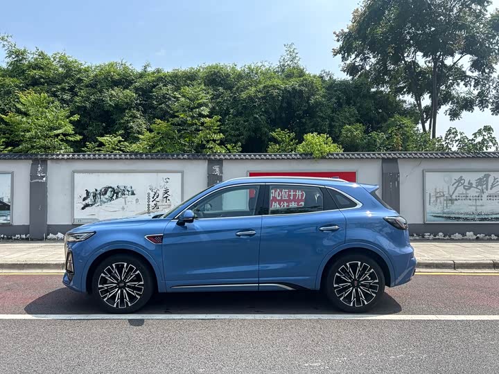 Фото 9 - Hongqi HS5