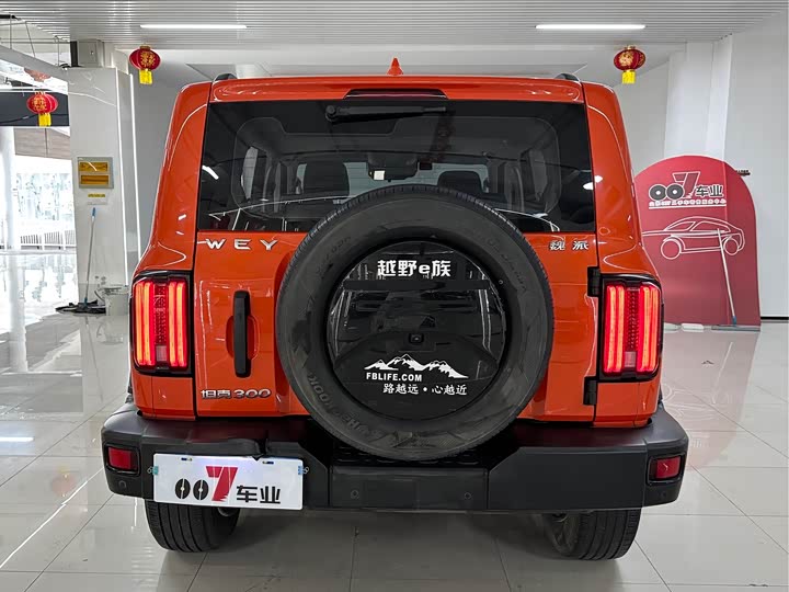 Фото 8 - Tank 300