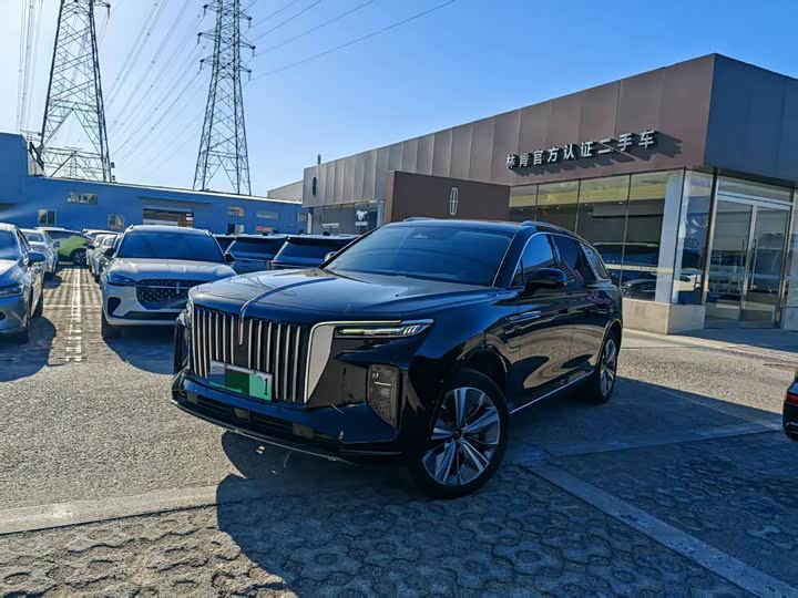 Фото 1 - Hongqi E-HS9