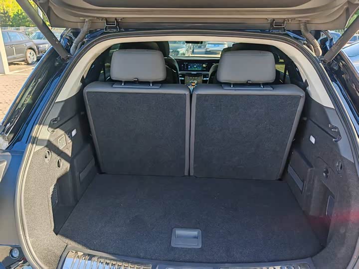 Фото 10 - Hongqi E-HS9