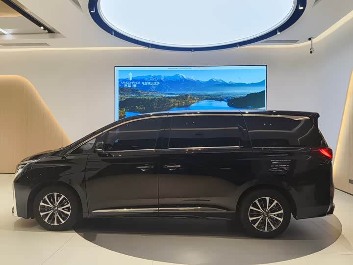 Фото 4 - GAC Trumpchi M8