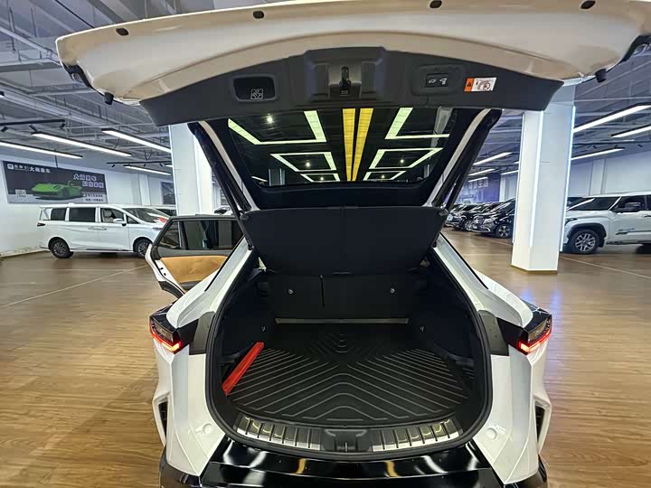 Фото 25 - Lexus RZ