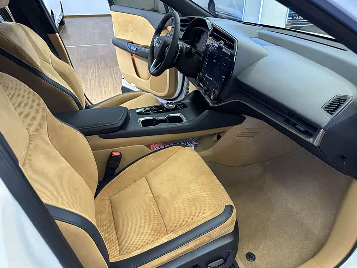 Фото 27 - Lexus RZ