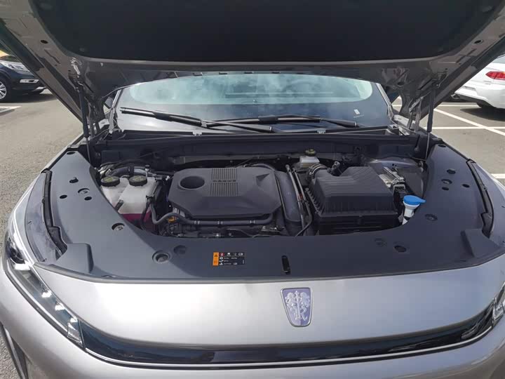 Фото 20 - Roewe D5X DMH