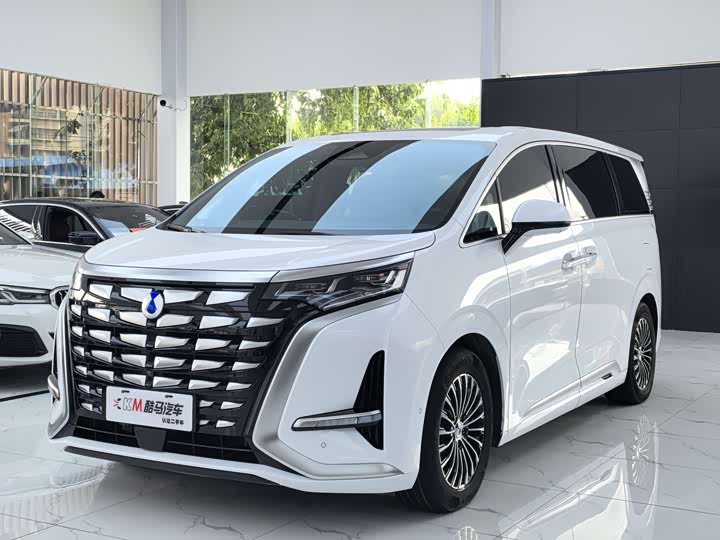 Фото 1 - Denza D9