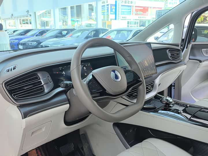 Фото 12 - Denza D9