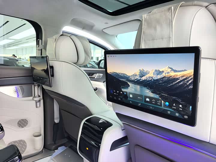 Фото 15 - Denza D9