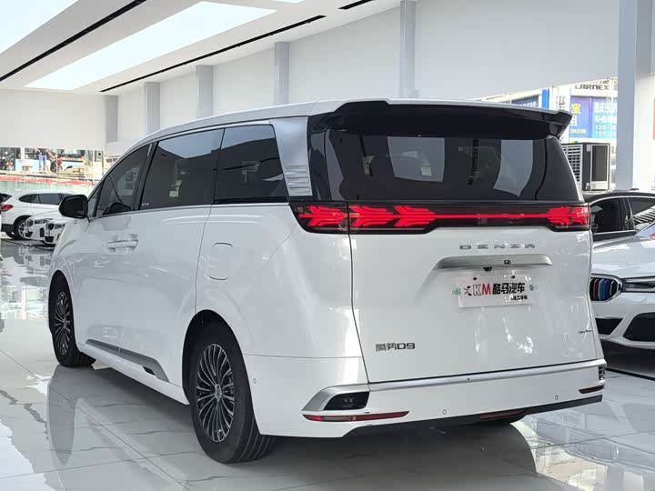 Фото 18 - Denza D9