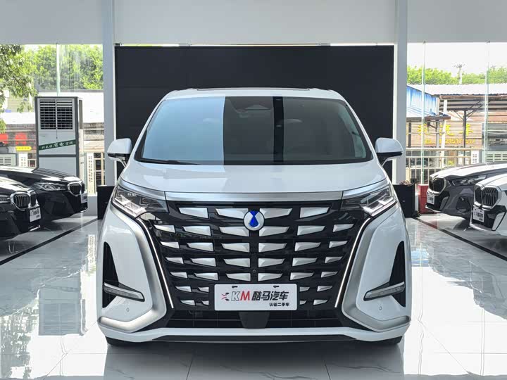 Фото 2 - Denza D9