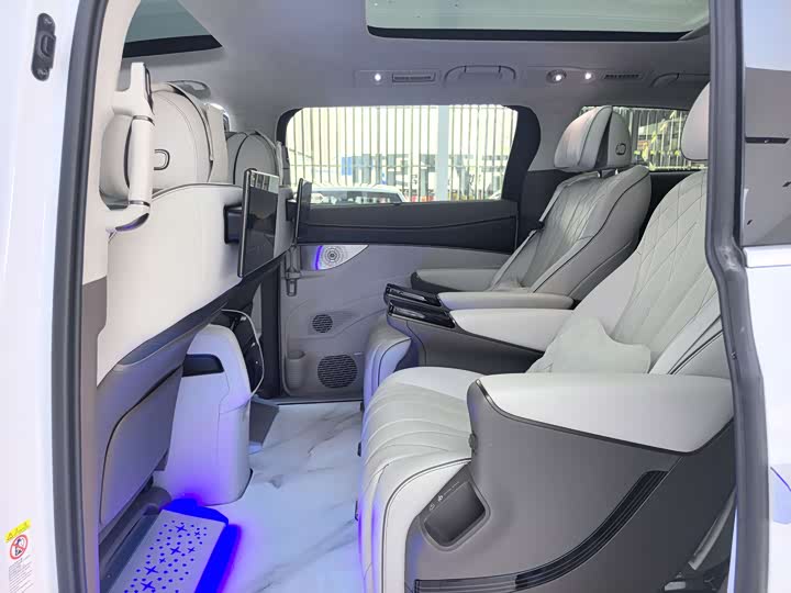 Фото 9 - Denza D9