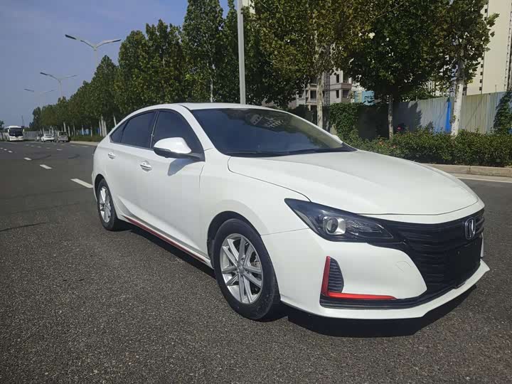 Фото 3 - Changan Raeton CC