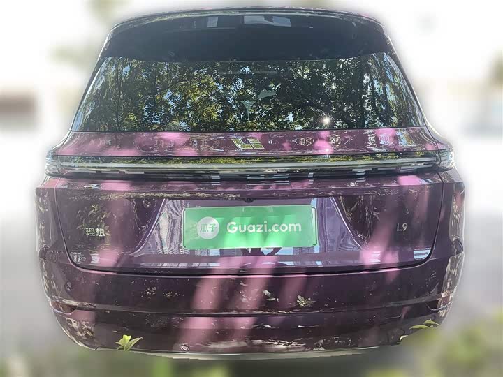 Фото 26 - LiXiang L9