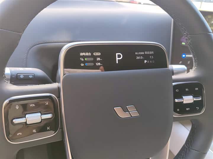 Фото 4 - LiXiang L9