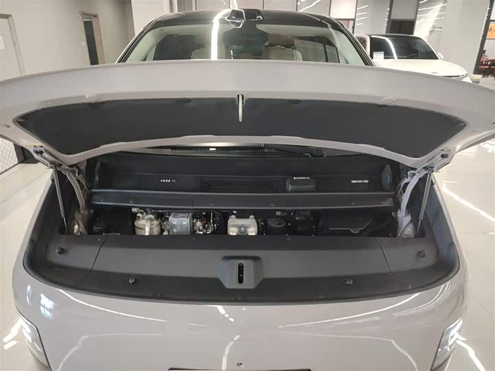 Фото 20 - LiXiang Mega