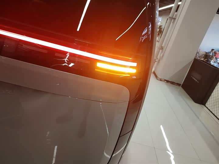 Фото 8 - LiXiang Mega