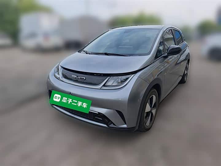 Фото 1 - BYD Dolphin