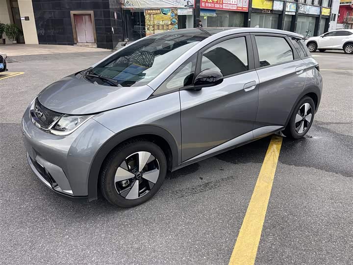 Фото 2 - BYD Dolphin