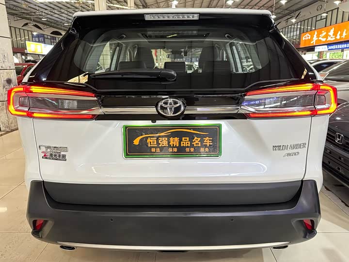 Фото 4 - Toyota Wildlander