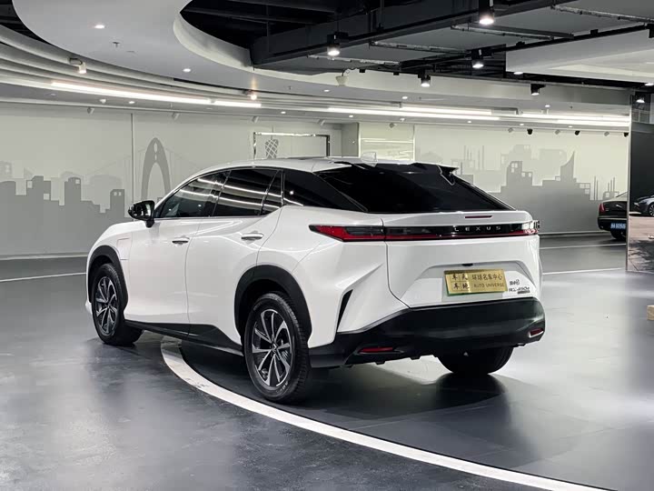 Фото 15 - Lexus RZ